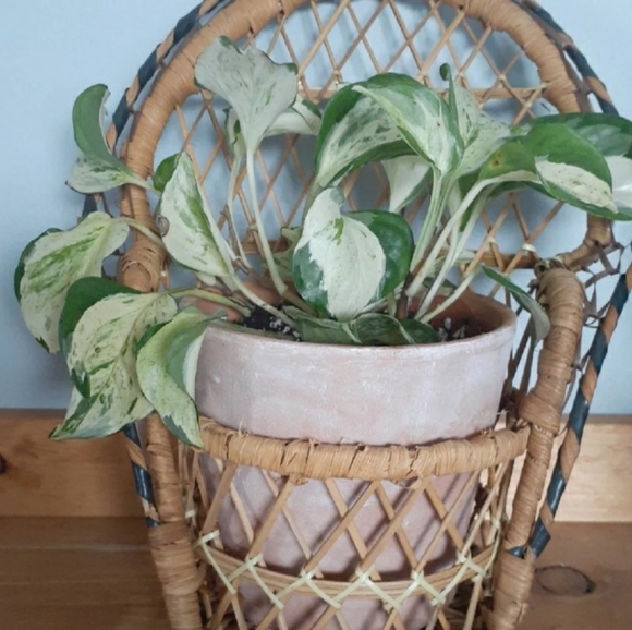 Sold - Picture 2 of 2